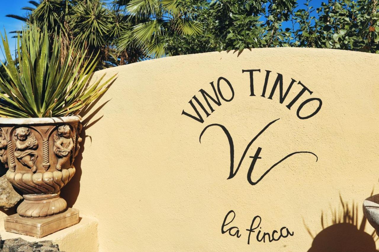 Finca Vino Tinto 2 Icod De Los Vinos Eksteriør bilde